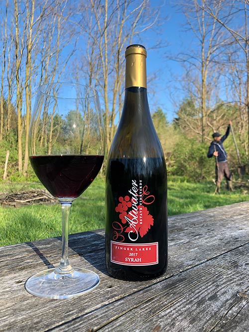 Syrah new release with George in the background.