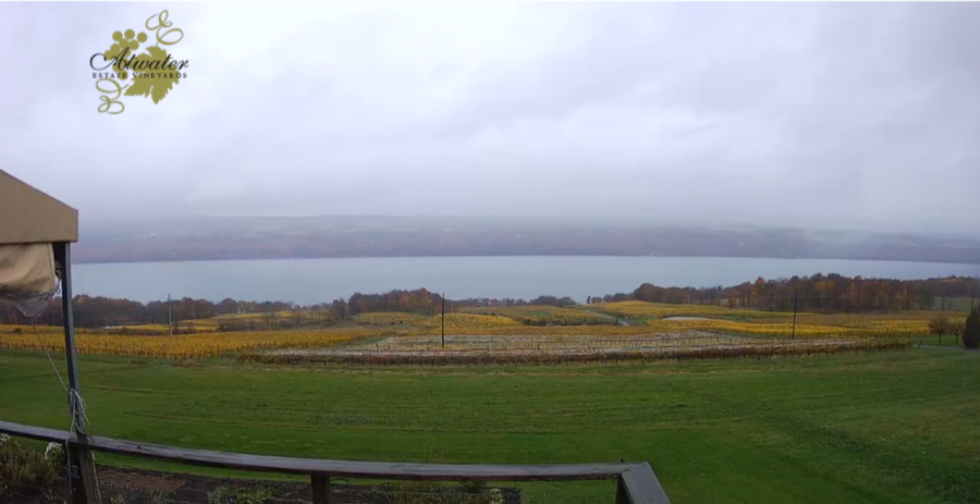 Picture of Atwater Vineyards looking from the tasting room to the lake.