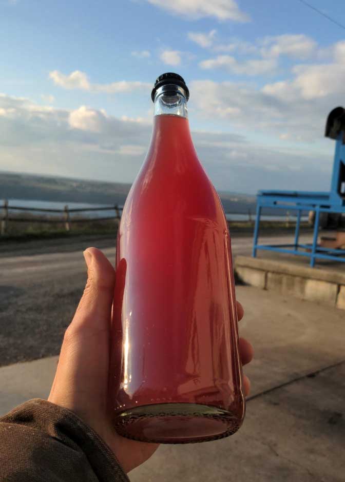 A bottle of Pet Nat in the sun.