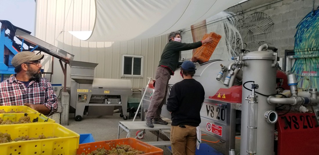 Bottling Line at Atwater Vineyards