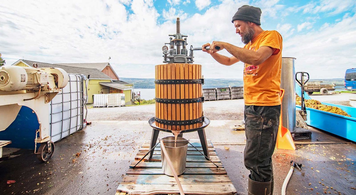 George pressing grapes.