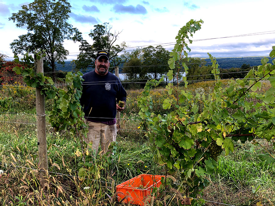 Vineyard worker Mike Betts in the vineyard with the lake behind him.