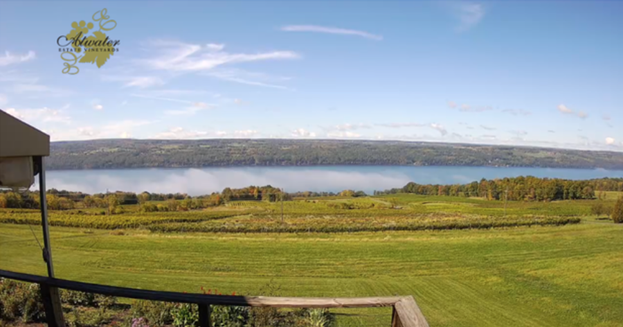 Web Cam View of the Vineyard in October