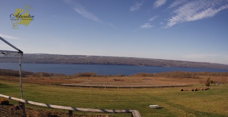 View from the Atwater deck.