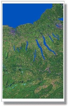 Finger Lakes Org - Laminated