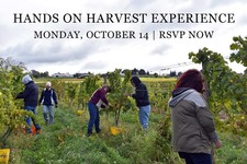 Hands On Harvest